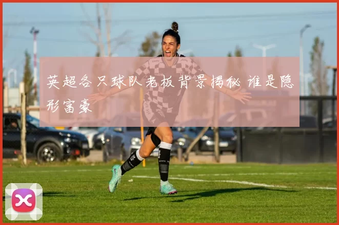 英超各只球队老板背景揭秘 谁是隐形富豪