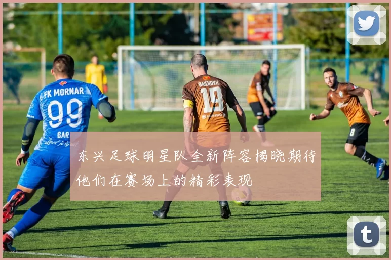 东兴足球明星队全新阵容揭晓期待他们在赛场上的精彩表现
